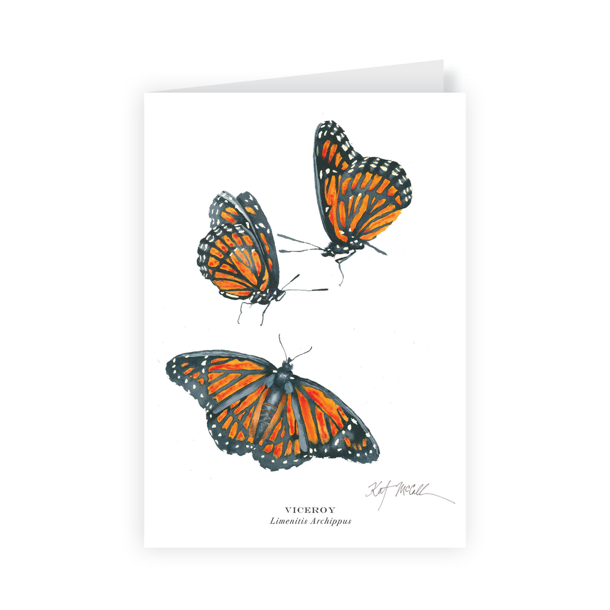 butterfliesmothsmockup1_1200x1