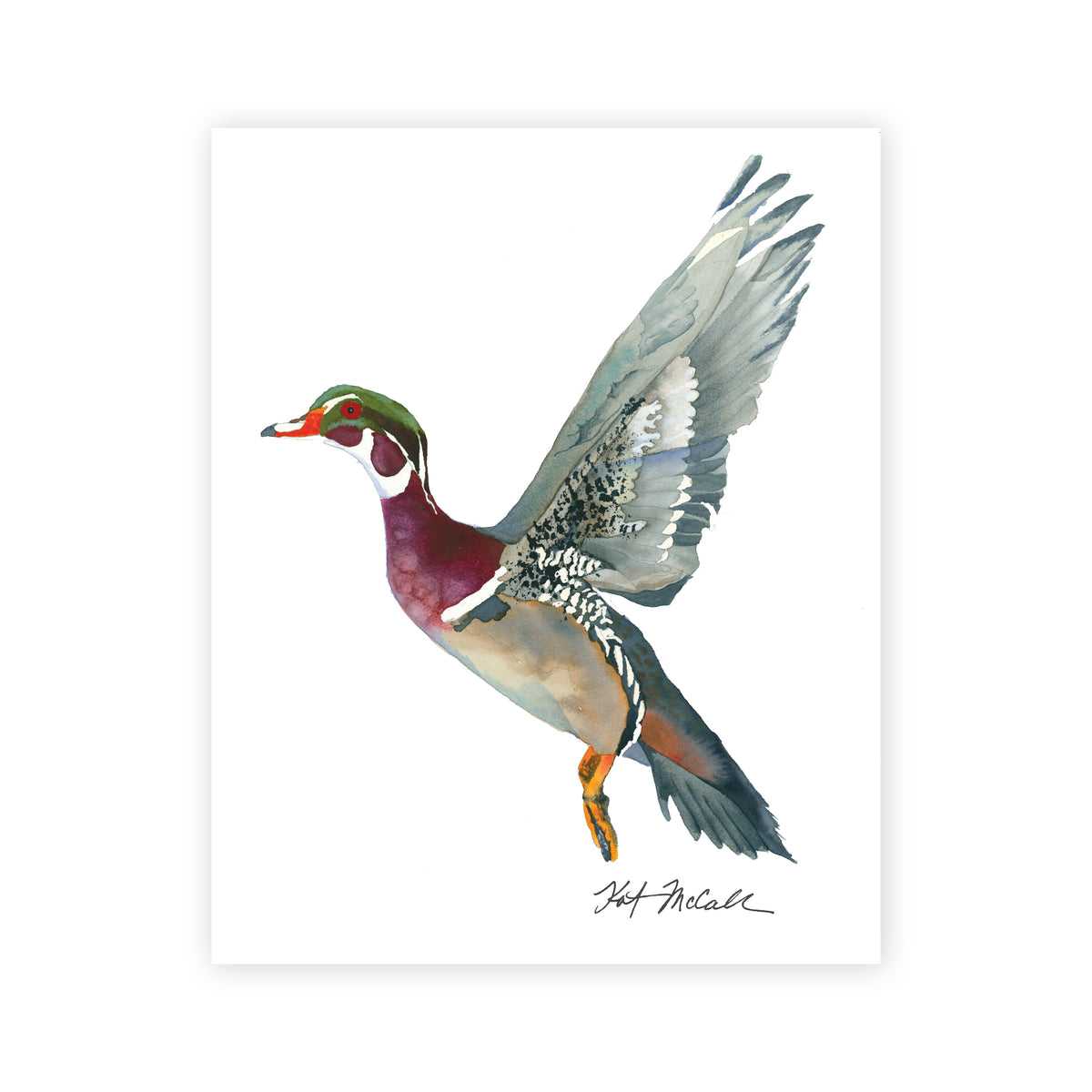 Kevin's Wood Duck in Flight Print 11x14 – Kat McCall Papers
