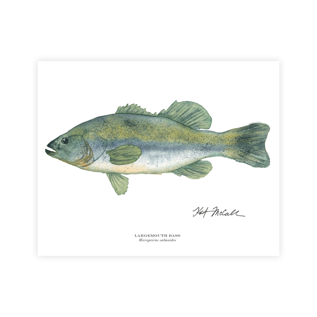 11x14_Bass_print_Lodge_Preston