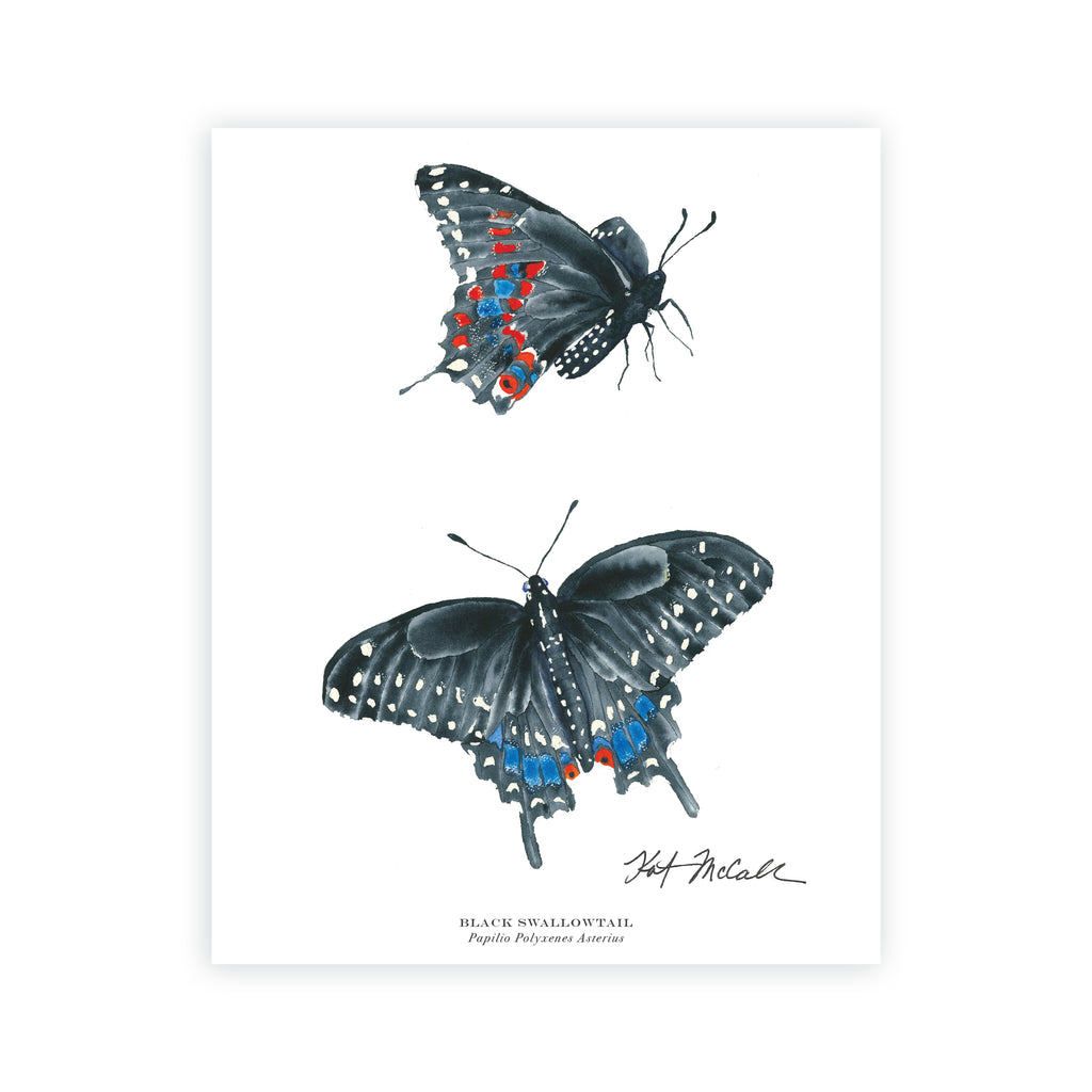 版画 SWALLOWTAIL BUTTERFLY Giant Swallowtail Butterfly