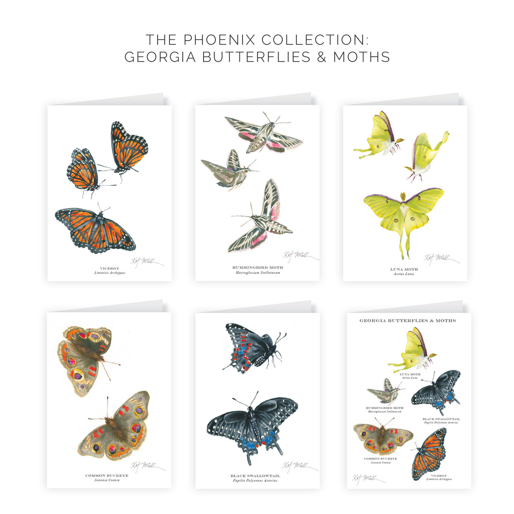 Phoenix Collection- Georgia Butterflies & Moths Greeting Card Set