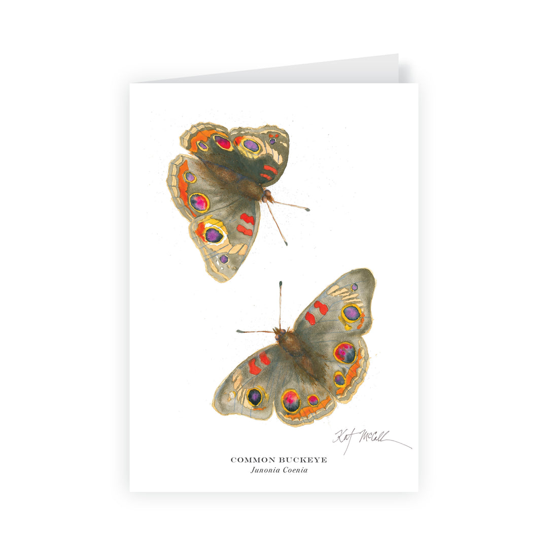 Phoenix Collection- Georgia Butterflies & Moths Greeting Card Set