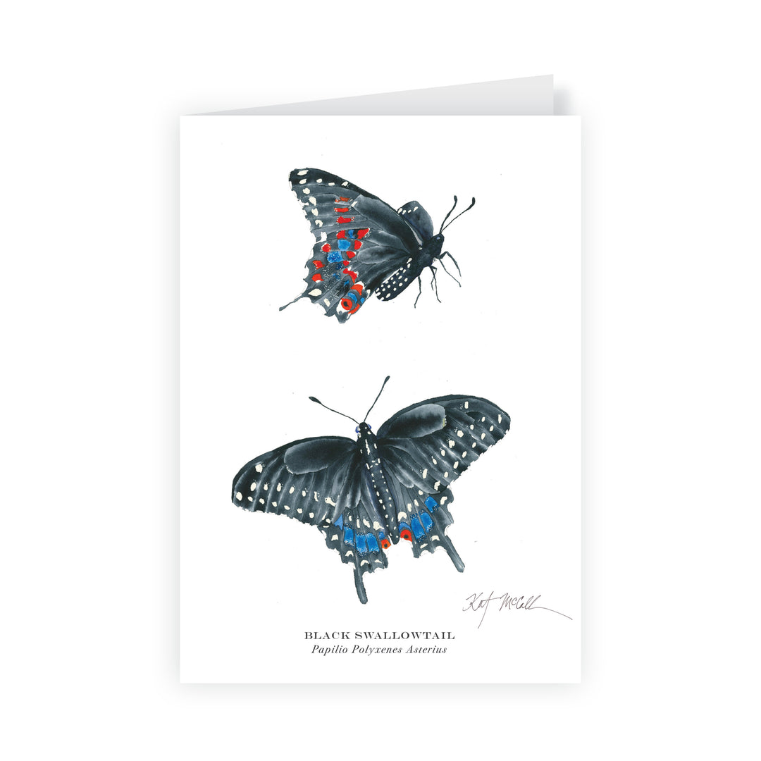 Phoenix Collection- Georgia Butterflies & Moths Greeting Card Set