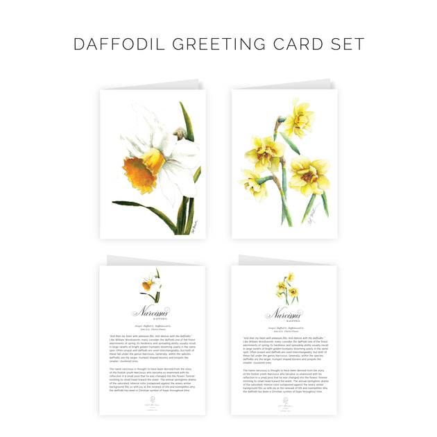 Ready To Write Card Sets Kat McCall Papers