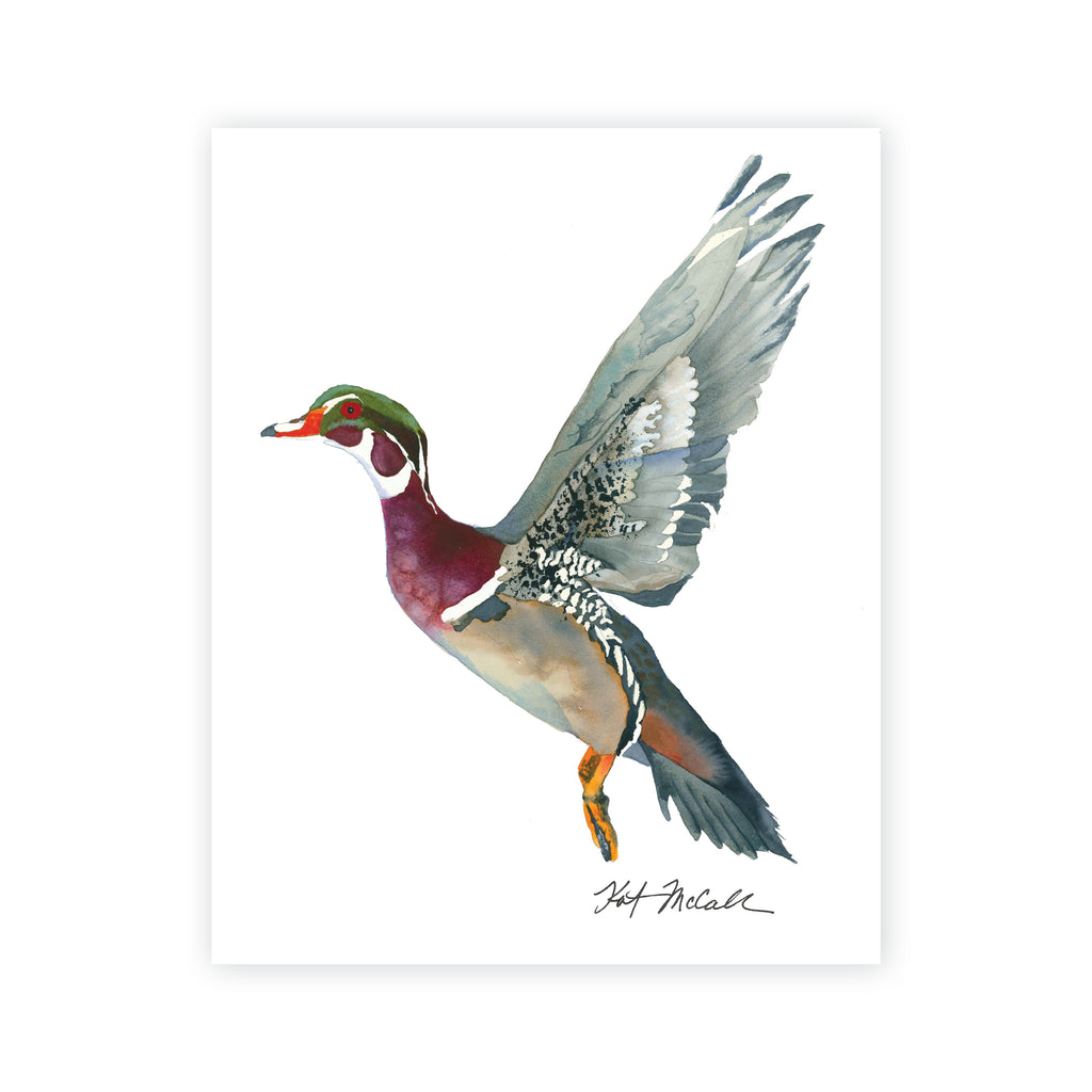 Kevin's Wood Duck in Flight Print 11x14 – Kat McCall Papers